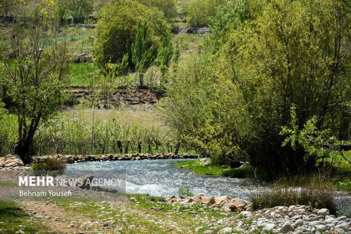 «ونایی» بهشت بروجرد