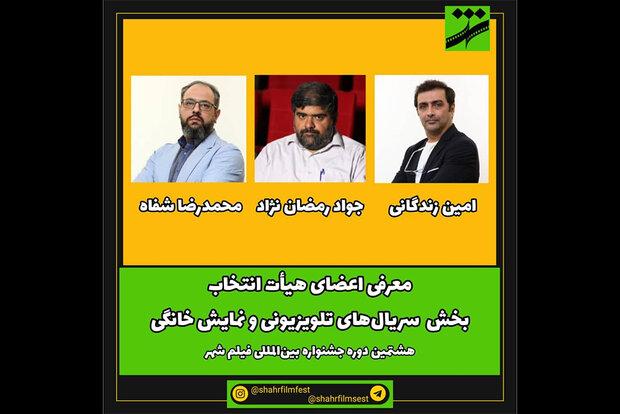 امین زندگانی عضو هیأت انتخاب بخش سریال جشنواره فیلم شهر شد