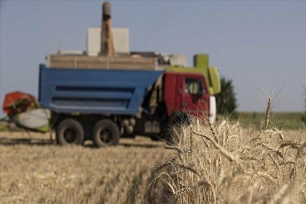 روند استقرار کاروان‌های غلات در ۳ بندر اوکراین آغاز شد