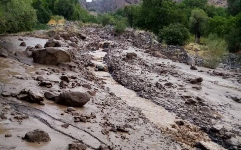 سیلاب وارد خانه‌های مردم روستای ناریان شد