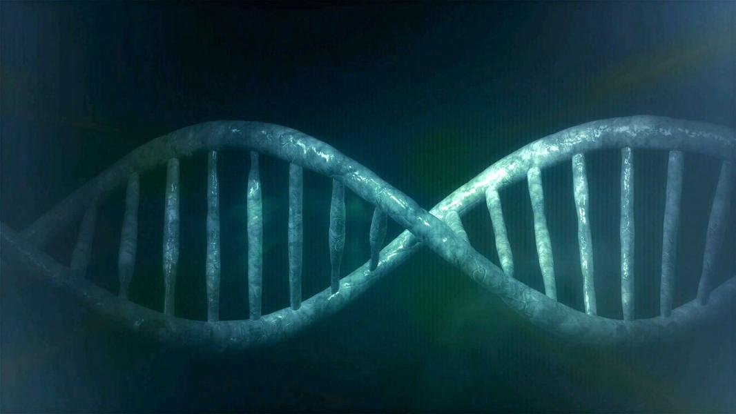 ساخت یک موتور مولکولی چرخشی با کمک DNA