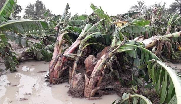 سیل ۷۱۵ میلیارد تومان به بخش کشاورزی و عشایر چهارمحال و بختیاری خسارت زد