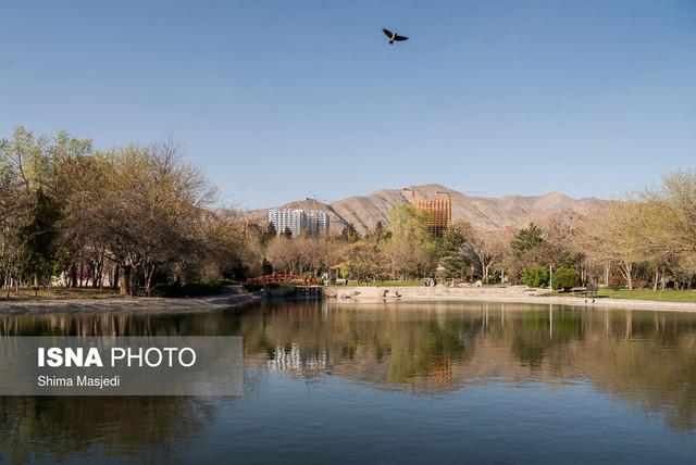 مرتفع سازی در حریم باغ گیاه شناسی گونه‌های ارزشمند آن را از بین می‌برد