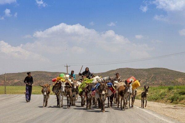 نیمی از عشایر از سامانه‌های مجاز اسدآبادخارج شده‌اند