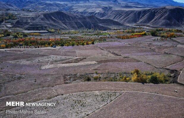 طرح توسعه و پیشرفت ۱۱۰ روستای گلستان بررسی شد