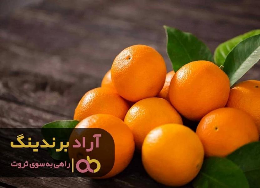 با یک راهکار بیکاری را دور بزنید