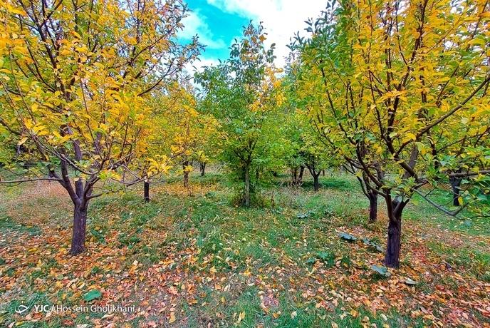 پاییز روستای «ارتش آباد»