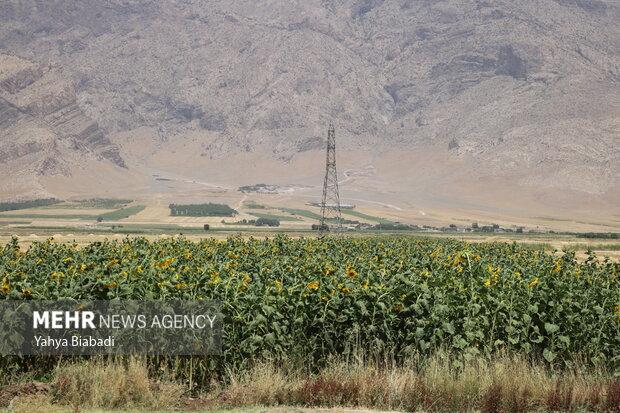 ساخت پهپاد سمپاش و ماژول گرده افشان برای استفاده در مزارع و باغات