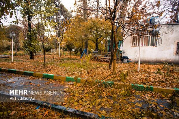 بارش ۵۶ میلی‌متری باران در خارگ