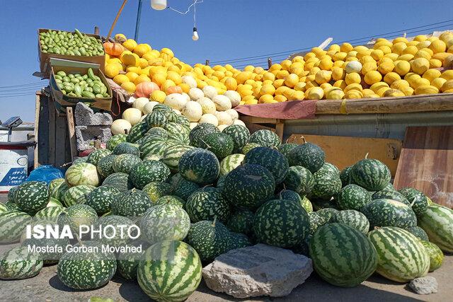 برداشت بیش‌از هشت هزار تن هنداونه شب یلدا از مزارع نیکشهر آغاز شد