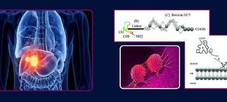 دستیابی محققان دانشگاه تهران به روش نوین درمان سرطان کبد