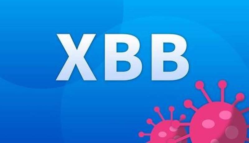 ویژگی‌های نگران‌کننده واریانت جدید XBB.1.5 اومیکرون