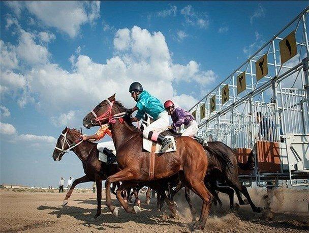 معرفی برندگان هفته چهاردهم کورس سوارکاری گنبدکاووس/ اهدای ۱۲ میلیارد ریال جایزه در این هفته