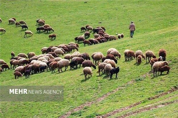 عشایر طرح مرتع داری دریافت کنند