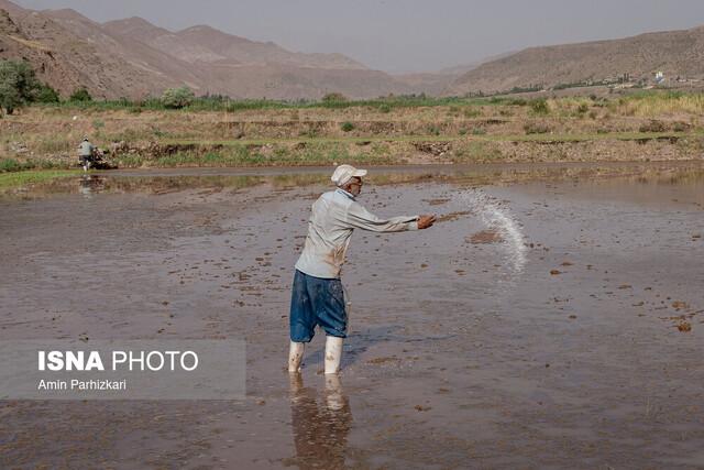 اما و اگر راه‌اندازی «بازار آب» در قزوین