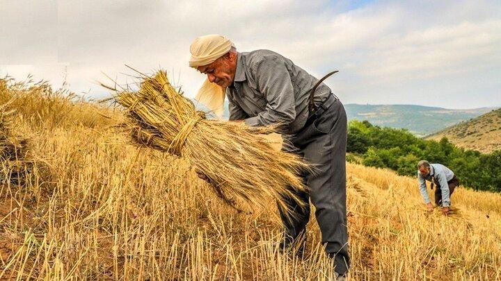 طرح ملی کشت دیمزار و جلوگیری از مهاجرت کشاورز از روستا به شهر