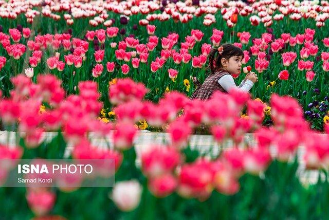 نهمین جشنواره لاله‌های کرج برگزار می‌شود