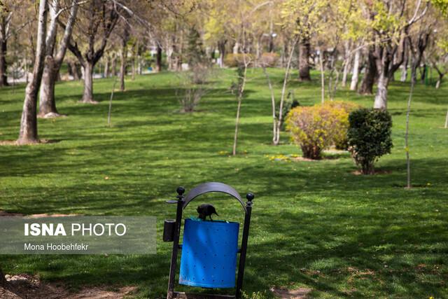 توصیه اداره کل منابع طبیعی مازندران - نوشهر به مناسبت "سیزده بدر"