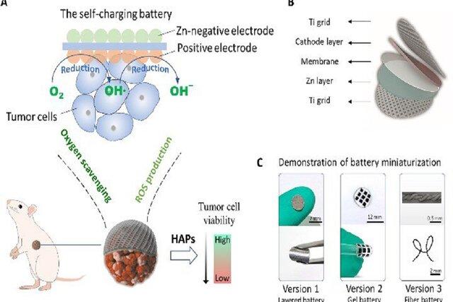 دانشمندان چینی برای نابودی تومورها یک باتری قابل کاشت طراحی کردند