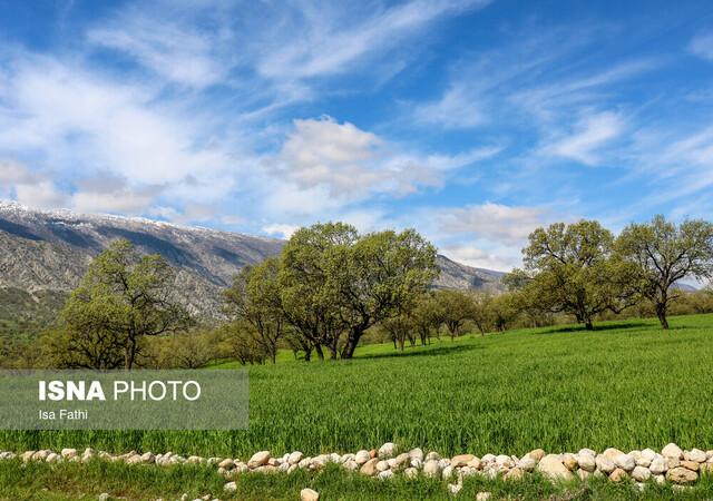 طبیعت بهاری بخش چاروسا در شهرستان کهگیلویه