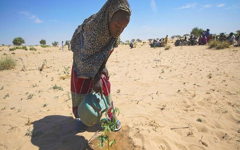 آینده ترسناک جهان در سایه برداشت بی رویه از آبخوان‌ها