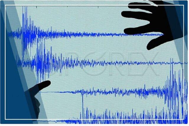 ایجاد سامانه جامع پیش‌نشانگر زلزله در دستور کار محققان زلزله‌شناسی کشور