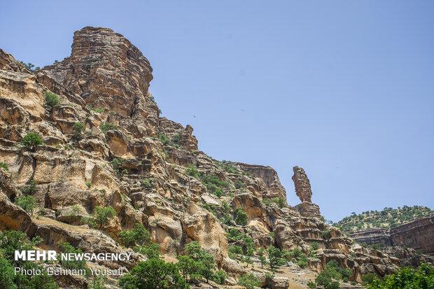 کوهنورد باسابقه همدانی در دره «شیرز» جان خود را از دست داد