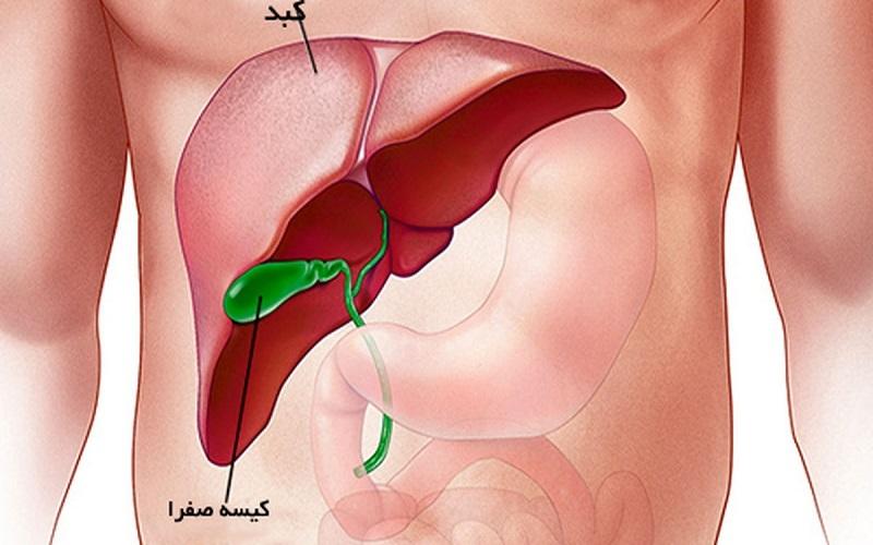 عوامل آسیب رسان به کبد را جدی بگیرید