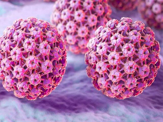  کارگاه آشنایی با ویروس‌HPV و روش‌های پیشگیری از آن