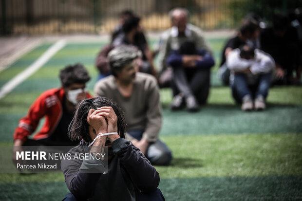 جمع‌آوری و دستگیری ۱۲۴ معتاد متجاهر در مشهد