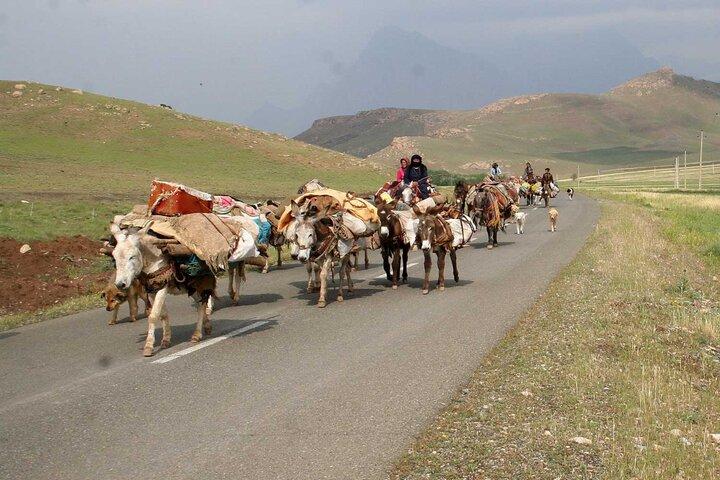 توزیع هوشمند نهاده دامی، سوخت و کالا به عشایر کشور