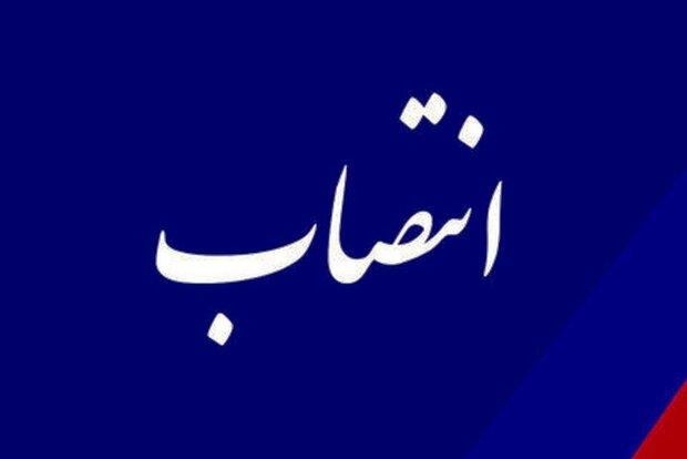 هشت انتصاب در دوومیدانی/ سپهرزاد مدیر تیم های ملی شد