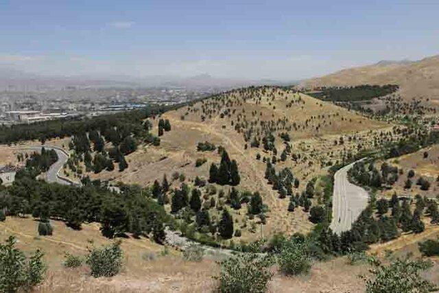 وجود ۹ پارک جنگلی در تهران