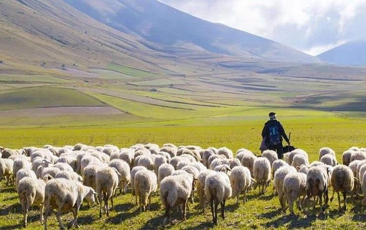 روايت خانواده ۱۳ نفره كه در سختی روزگار به خودكفايی رسيدند