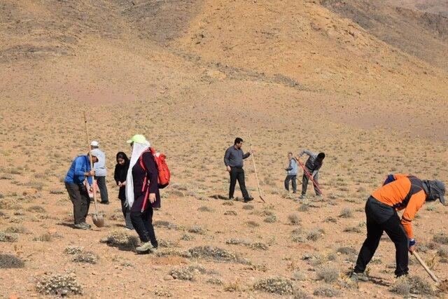 اولین مرحله از پویش مردمی بذرکاری در شهرستان محلات انجام شد