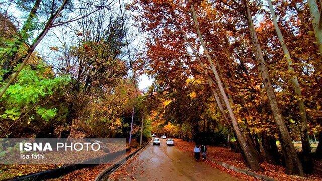 شهروندان در مسیل‌های تهران و رودخانه کن تردد نکنند/ تأکید بر عدم چرای دام در ارتفاعات