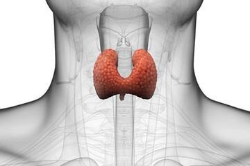 کم‌کاری تیروئید باعث مشکلی می‌شود که فکرش را هم نمی‌کنید