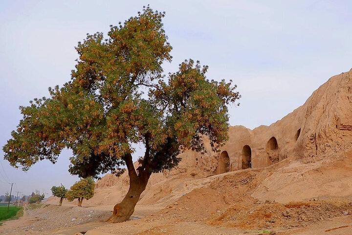 تماشای قلعه خشتی نظامی در برنامه «تهرانگرد»