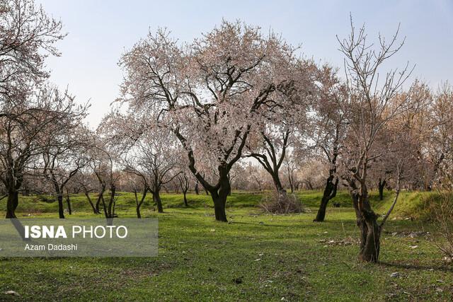 ویژگی‌های منحصربه‌فرد باغستان سنتی قزوین برای ثبت جهانی