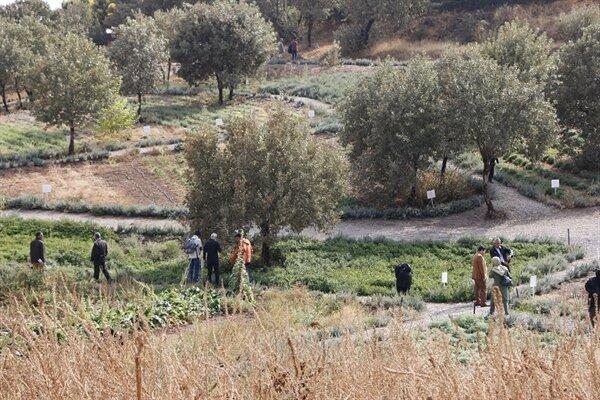 فعالیت ۲ تشکل تخصصی حوزه گردشگری در لرستان