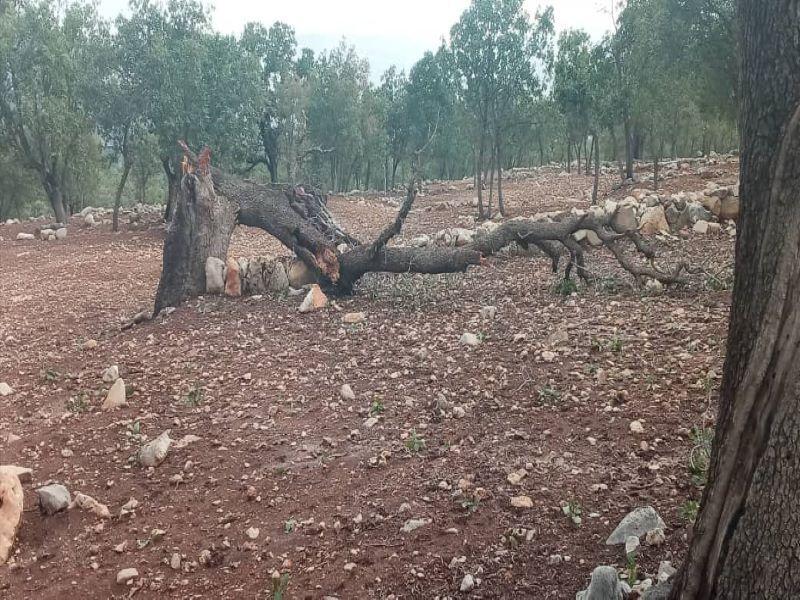 اعلام جرم دادستان مینودشت برای ۲ مدیر آموزش و پرورش