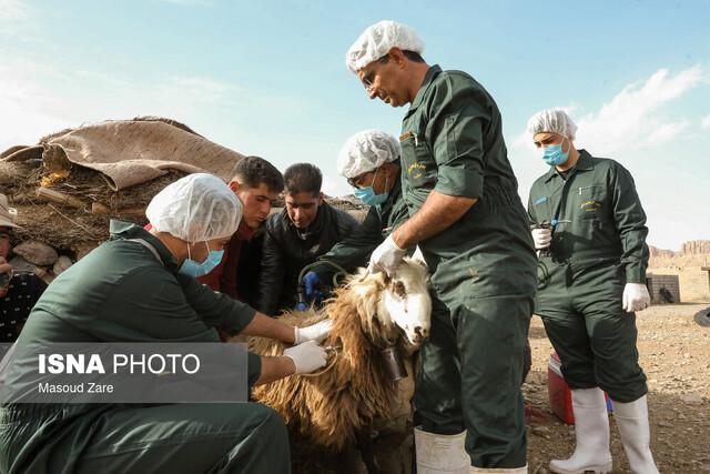 آغاز رزمایش محرومیت‌زدایی دامپزشکی در  ۱۰۵ روستای محروم و صعب‌العبور خوزستان