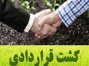 اعمال تخفیف ٢٠ درصدی بیمه محصولات برای کشاورزان دارای کشت قراردادی