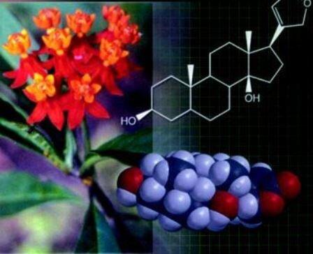 کمی‌سازی کنترل کیفی متابولیت ثانویه گیاهان دارویی و معطر