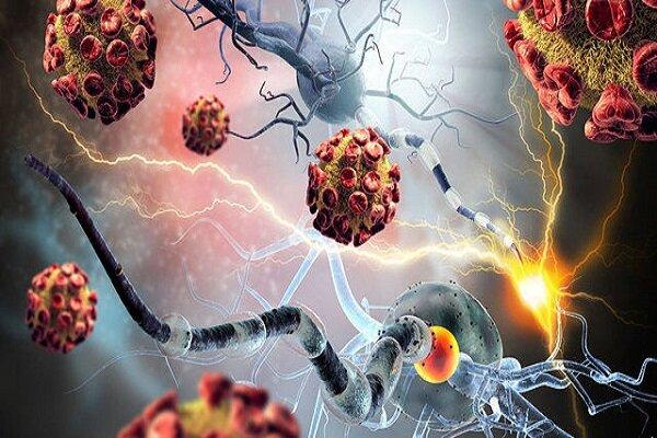 استخراج نتایج جالب از محیط تومور سرطانی با یک فناوری جدید