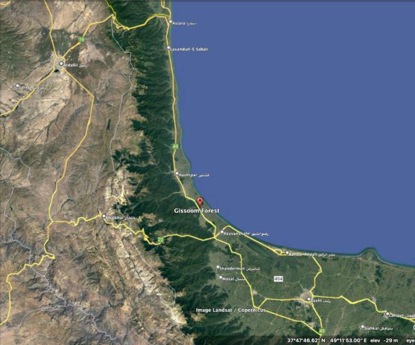 جنگل گیسوم و راه‌آهن رشت-آستارا: وعده سود کلان و احتمال قطع ۱۰۰هزار درخت