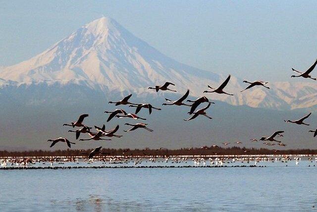 ایجاد مرکز مشترک با چین برای بررسی تأثیرات اقلیم و اکولوژیکی در گرگان