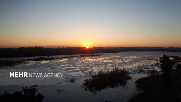 زیست ۲۰۰گونه پرنده در میانکاله/ وضعیت تالاب‌های ایران نامناسب است