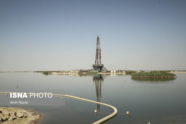 طرح تجارب برای احیای تالاب‌ها در همایش ملی «محیط زیست در افق توسعه»