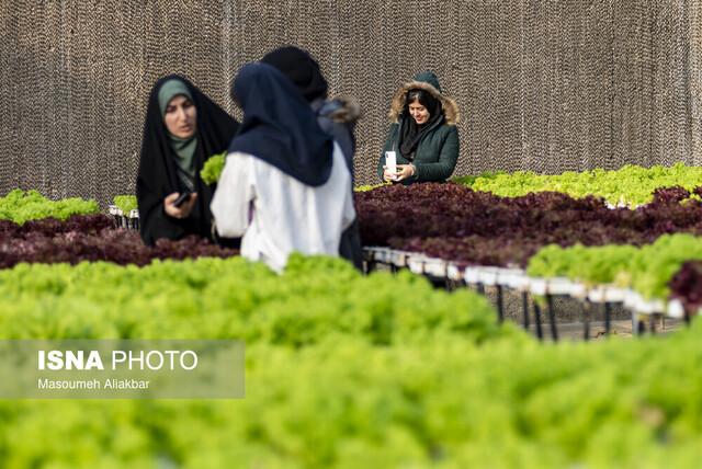 تعامل با نخبگان دانشگاهی دستیابی به امنیت غذایی آسان‌تر می‌شود